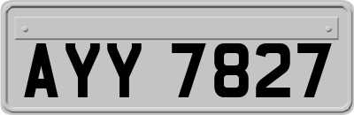 AYY7827