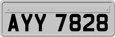 AYY7828