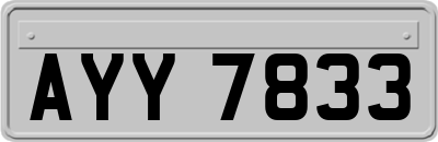 AYY7833
