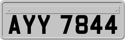 AYY7844
