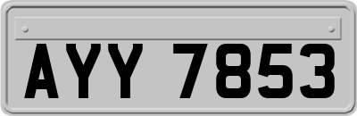 AYY7853