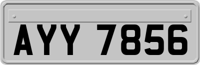 AYY7856