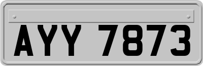 AYY7873