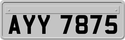 AYY7875