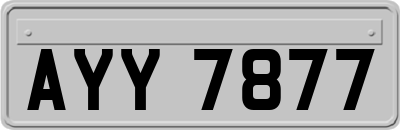 AYY7877