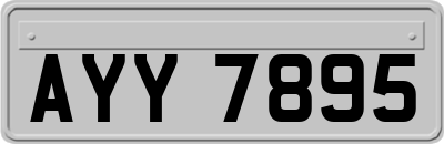 AYY7895