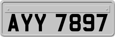 AYY7897