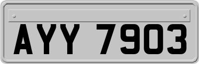 AYY7903