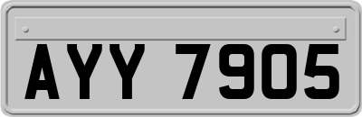 AYY7905