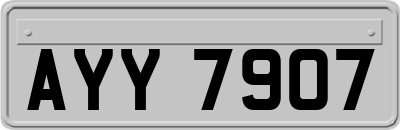 AYY7907