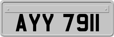 AYY7911