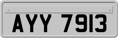 AYY7913