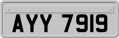 AYY7919