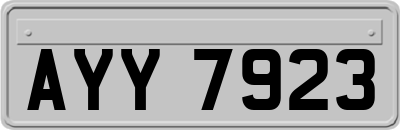 AYY7923