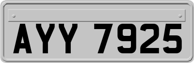 AYY7925