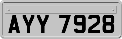 AYY7928