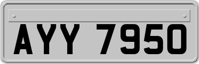 AYY7950