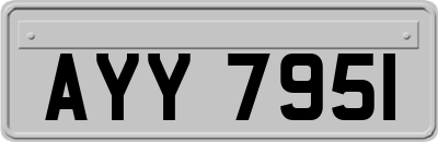AYY7951