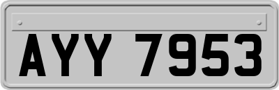 AYY7953