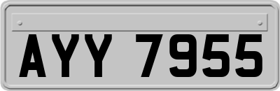 AYY7955