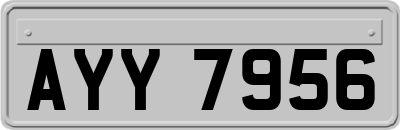 AYY7956