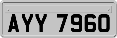 AYY7960