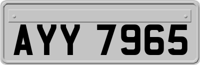 AYY7965