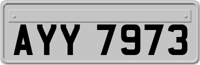 AYY7973