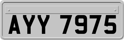 AYY7975