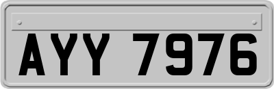 AYY7976