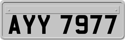 AYY7977