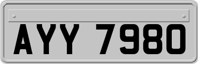 AYY7980