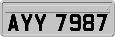 AYY7987