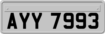 AYY7993
