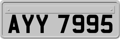 AYY7995