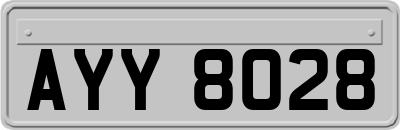 AYY8028