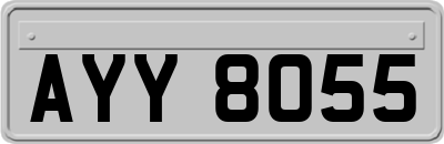 AYY8055