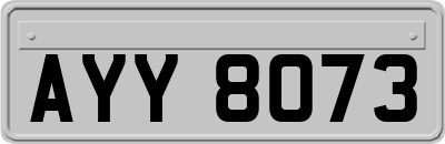 AYY8073