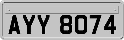 AYY8074