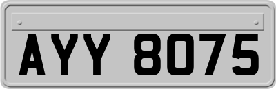 AYY8075
