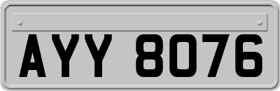 AYY8076