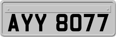 AYY8077