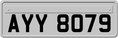 AYY8079
