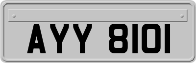 AYY8101