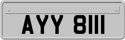 AYY8111