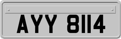 AYY8114