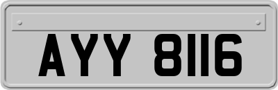 AYY8116