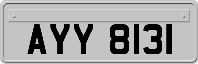 AYY8131