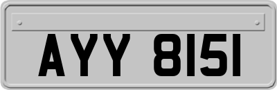AYY8151