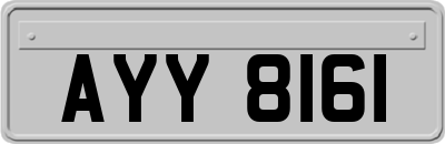 AYY8161